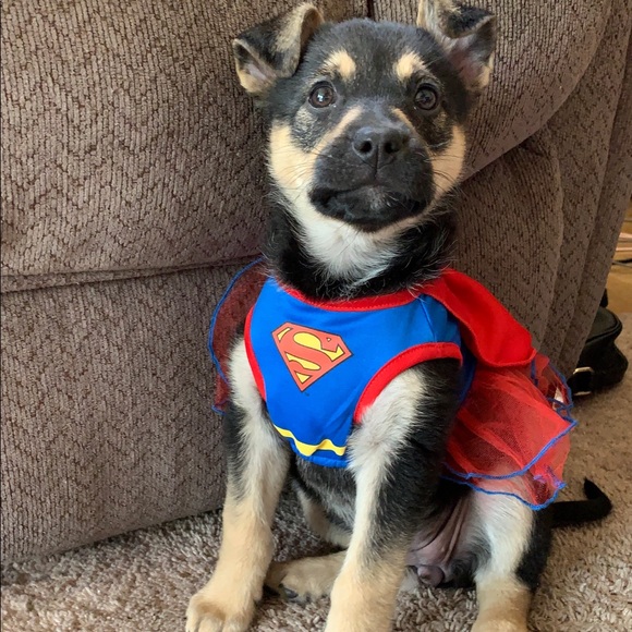 Meet your Posher, Ines - Picture 2 of 5